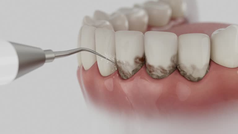 Reliable Dental contractor in Elon, NC by Dentist Open Now